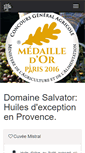 Mobile Screenshot of domainesalvator.fr